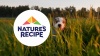 Show in main carousel: Nature's Recipe Grain-Free Chicken & Beef Recipe, Chicken & Turkey Recipe & Chicken & Lamb Recipe in Savory Broth Variety Pack Wet Dog Food, 2.75-oz, case of 12 slide 11 of 12
