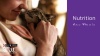 Show in main carousel: Cat Chow Indoor Hairball & Healthy Weight Dry Cat Food, 3.15-lb bag slide 12 of 14