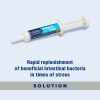 Show in main carousel: Farnam Probiotic Apple & Molasses Flavor Paste Horse Supplement, 30-g tube slide 10 of 11