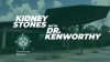 Kidney Stone Treatment with Dr. Kenworthy