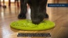 Show in main carousel: SodaPup Citrus EMat Dog Lick Mat, Bright Green slide 6 of 6