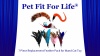 Show in main carousel: Pet Fit For Life 7 Piece Replacement Feather Pack for Wand Cat Toy slide 10 of 11