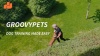 Show in main carousel: GroovyPets Rechargeable Waterproof Barking Control Automatic Anti Bark Dog Collar slide 8 of 9