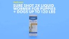 Show in main carousel: PetArmor Sure Shot 2X Dewormer for Hookworms & Roundworms for Dogs, 2-fl oz bottle slide 7 of 8