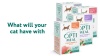 Show in main carousel: Optimeal Tender Morsels with Beef & Rabbit In Savory Sauce Recipe Wet Cat Food, 3-oz pouch, case of 24 slide 4 of 5
