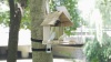 Show in main carousel: Coziwow AI Bird Recognition Smart Bird Feeder with Camera Solar Powered, Natural Wood, 2.5-L slide 10 of 10