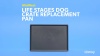 Show in main carousel: MidWest LifeStages Dog Crate Replacement Pan, 42-in slide 7 of 8