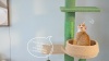 Show in main carousel: PAWZ Road 87 to 100-in Adjustable Polyester Floor-to-Ceiling Cactus Cat Tree with 4.1-in Robust Scratcher, Green slide 9 of 9