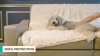 Show in main carousel: PetAmi Furry Faux Fur Waterproof Cat & Dog Blanket, Grey, Medium  slide 8 of 9