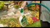 Show in main carousel: Simple Green Outdoor Dog & Cat Odor Eliminator, 1-gal jug slide 10 of 11
