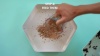 Show in main carousel: The Bug Factory Mealworm Growing Pod Reptile Feeder, White & Green slide 10 of 10