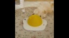 Show in main carousel: Happy & Polly Egg Series Sisal Cat Scratcher Toy, Yellow, Large slide 10 of 11