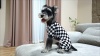 Show in main carousel: CuteBone Checkered Turtleneck Dog Pajamas, Black & White, Large slide 11 of 12