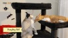 Show in main carousel: PAWZ Road 69-in Gothic Large Hammock Polyester Cat Tree & Condo, Black slide 8 of 9