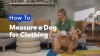 Show in main carousel: Frisco Ripstop Dog Life Jacket, Orange, X-Small slide 11 of 12