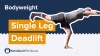 bodyweight single leg exercise video
