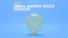 Show in main carousel: Kaytee Small Animal Igloo Hideout, Color Varies, Large slide 10 of 12