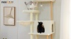 Show in main carousel: PAWZ Road 73-in Polyester Wood Cat Tree & Perch, Condo, Beige, Large slide 10 of 10