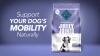 Show in main carousel: Blue Buffalo True Solutions Mobility Care Adult Chicken Wet Dog Food, 12.5-oz can, pack of 12 slide 10 of 12