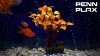 Show in main carousel: Penn-Plax Bonsai Aquarium Ornament slide 8 of 9