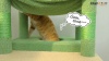 Show in main carousel: PAWZ Road 72-in Flower Large Hammock Fleece Cat Tree & Condo, Large, Pink slide 10 of 11