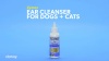 Show in main carousel: Zymox Enzymatic Ear Cleanser for Dogs & Cats, 1-gal bottle slide 7 of 9