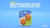 Show in main carousel: Chuckit! Air Fetch Ball 2-Pack Dog Toy, Medium slide 6 of 7