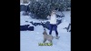Show in main carousel: GURU Squeaking Rope Dog Toy, Medium slide 6 of 7
