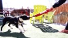 Show in main carousel: KONG Signature Stick Dog Toy, Large slide 5 of 6
