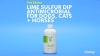 Show in main carousel: Vet Basics Lime Sulfur Dip Antimicrobial for Dogs, Cats & Horses, 1-gal bottle slide 7 of 8
