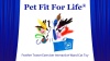 Show in main carousel: Pet Fit For Life Interactive Wand Teaser, Toys & Storage bag 8 Piece Bundle Cat Toy slide 9 of 10