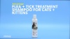 Show in main carousel: Advantage Flea & Tick Treatment Shampoo for Cats & Kittens, 8-fl oz bottle slide 9 of 10