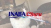 Show in main carousel: Inaba Churu Tuna & Chicken Puree Variety Pack Grain-Free Lickable Cat Treat, 0.5oz tube, pack of 50 slide 10 of 11