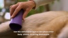 Show in main carousel: Pet Teezer De-Shedding Dog Grooming Brush, Small slide 7 of 8