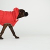 Show in main carousel: GF Pet Nordic Fiber Dog Parka, Dark Teal, XX-Small slide 11 of 11