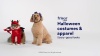 Show in main carousel: Frisco Bubble Bath with Rubber Duck Dog & Cat Costume, Medium slide 10 of 11
