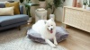 Show in main carousel: Nandog Cloud Collection Pillow Dog Bed, Gray slide 9 of 10