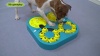Show in main carousel: KADTC Adventurer 5 In 1 Puzzle Dog Toy, Green slide 7 of 8
