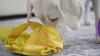 Show in main carousel: Nina Ottosson by Outward Hound Snuffle Palz Interactive Plush Puzzle & Snuffle Mat Dog Toy, Bird slide 8 of 9