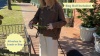 Show in main carousel: Sweet Paws Double Duty Waste Hands-Free Poop Bag Holder, Small slide 10 of 10