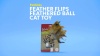 Show in main carousel: Petlinks Feather Flips Feathered Ball Cat Toy slide 9 of 10