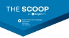 The Scoop: SugarPredict for Market [Bonus Edition]