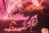 OM III 1971 thumbnail