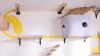 Show in main carousel: FUKUMARU Solid Rubber Wood Wall Mounted Cat Wall Climber Shelf, Brown slide 7 of 7