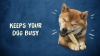 Show in main carousel: Busy Bone Rollhide, Long-Lasting Large Dog Treats, 2 count pouch slide 11 of 12