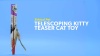Show in main carousel: Ethical Pet Telescoping Kitty Teaser Cat Toy slide 4 of 5