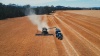 Animal Health Australia documentary film about the Herbert family and biosecurity