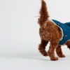 Show in main carousel: GF Pet Nordic Fiber Dog Parka, Dark Teal, XX-Small slide 10 of 11