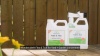 Show in main carousel: Wondercide Natural Flea, Tick & Mosquito Yard & Garden Spray with Natural Essential Oils, 16-fl oz bottle slide 7 of 8