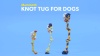 Show in main carousel: Mammoth Knot Tug for Dogs, Color Varies, Large slide 5 of 7